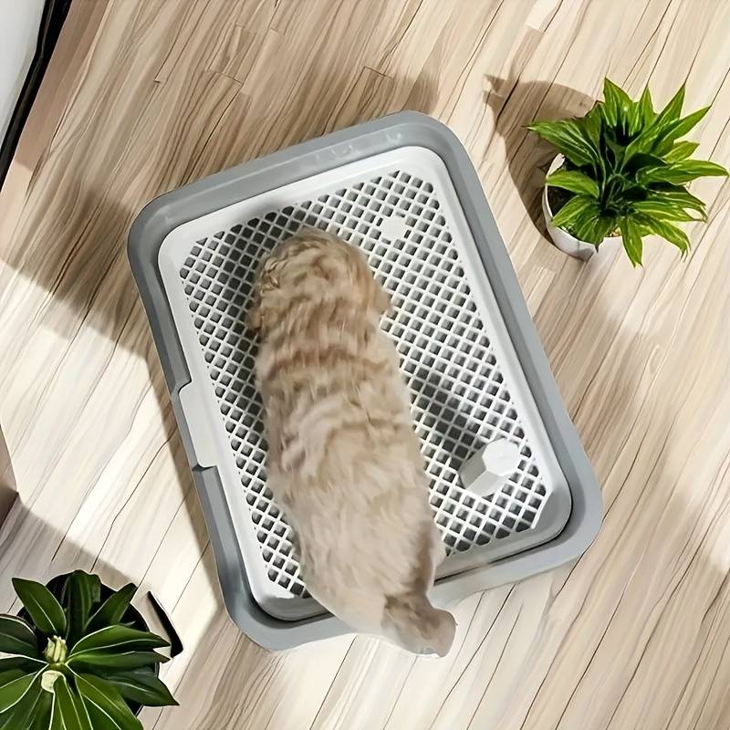Pet supplies color Grey      Standing Column