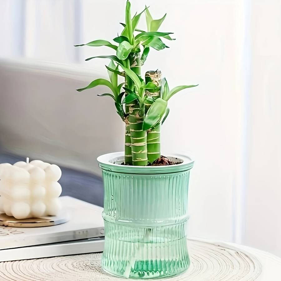 Flowerpot Color Transparent Gray 2