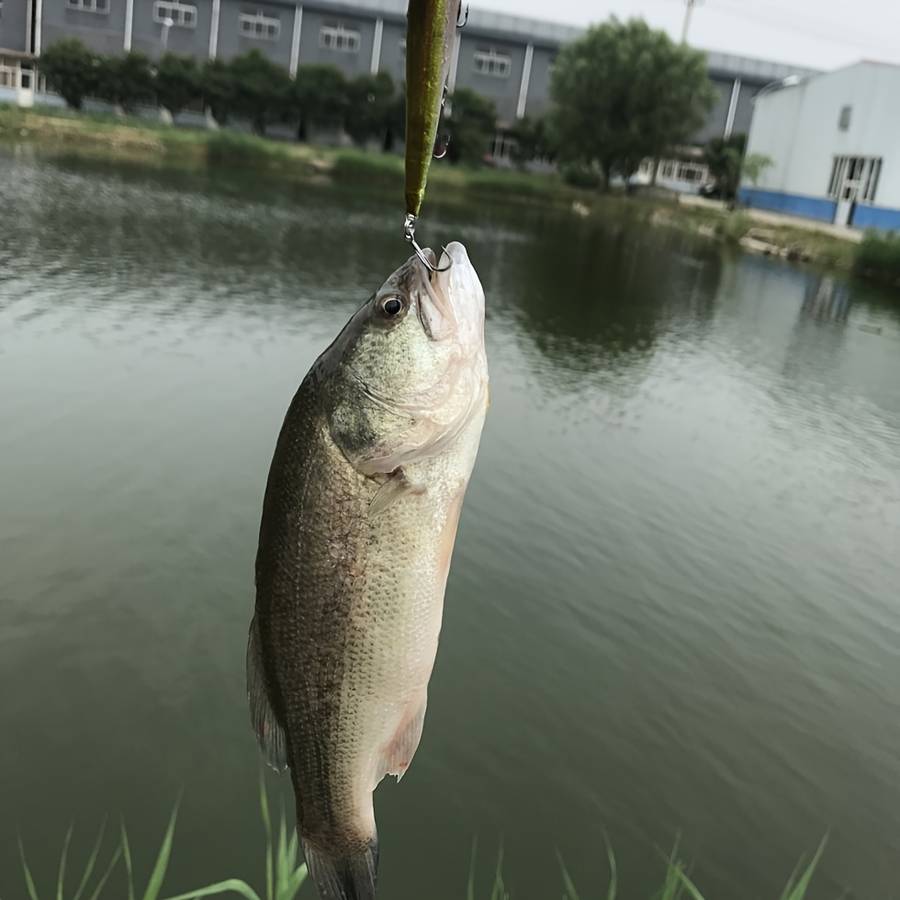 4pcs Small Loach Bait for Fishing Mandarin Fish Bass And Black Fish