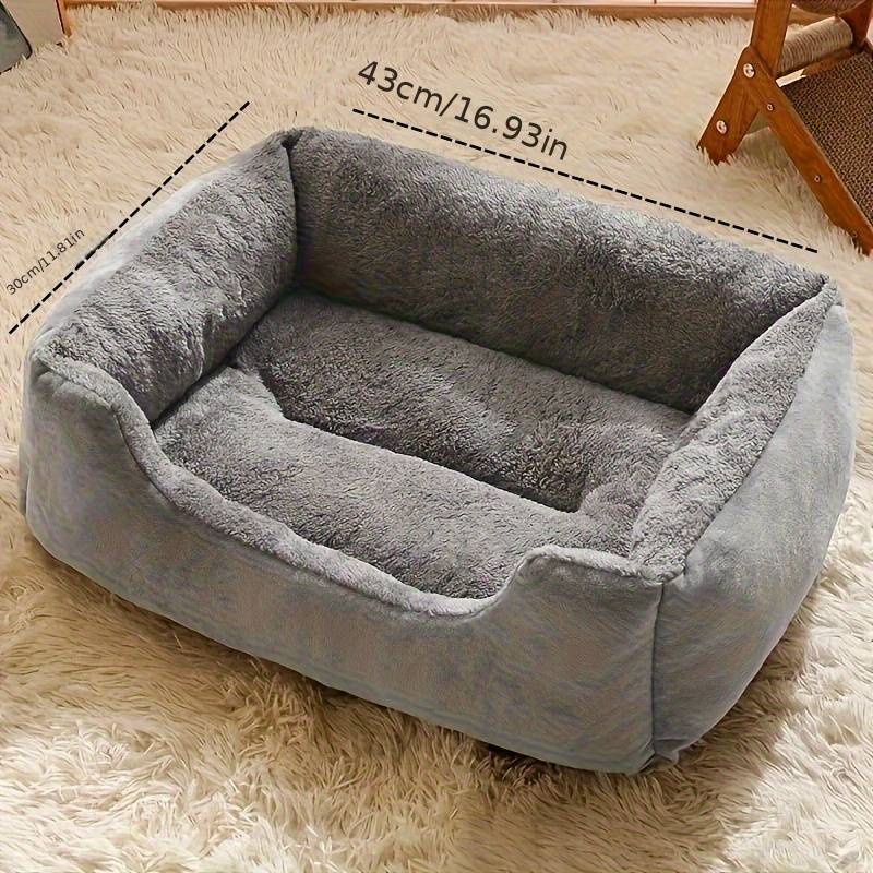 Pet supplies color Gray