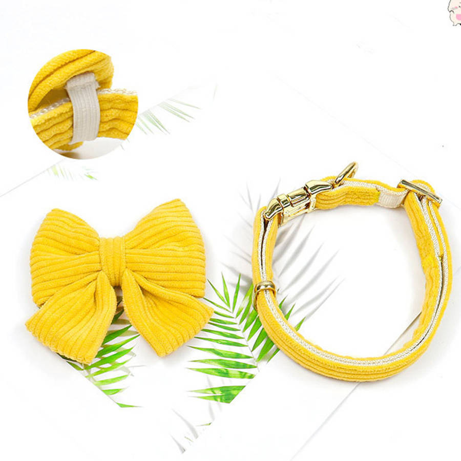 Dog Leash Color Yellowset Of 3 Size M