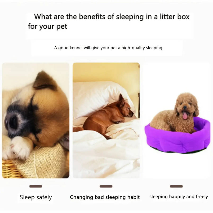 Pet Supplies Color Coffee