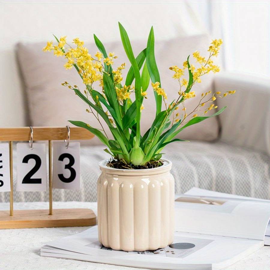 Flowerpot