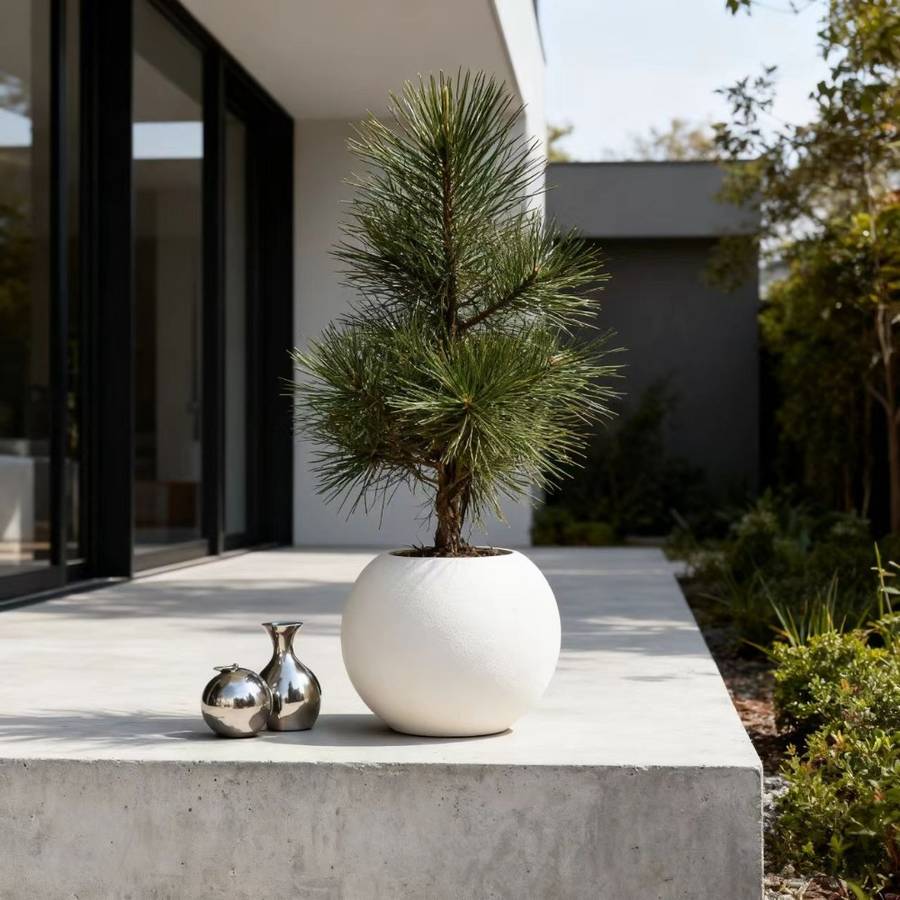 Flowerpot Color White
