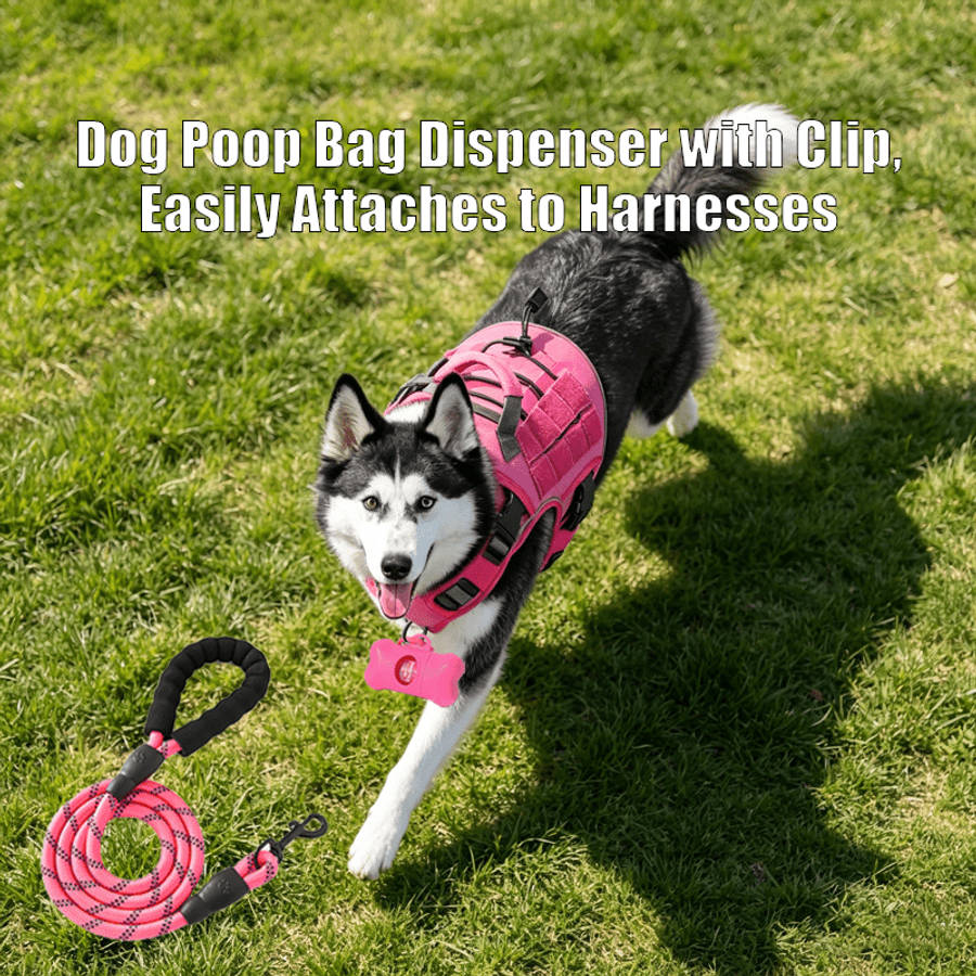 Dog Leash Color 1 Black Chest HarnessReflective LeashDog Waste Bag Size S