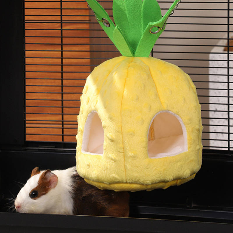 Pet Supplies Color Pineapple Size Size S Dwarf Rat