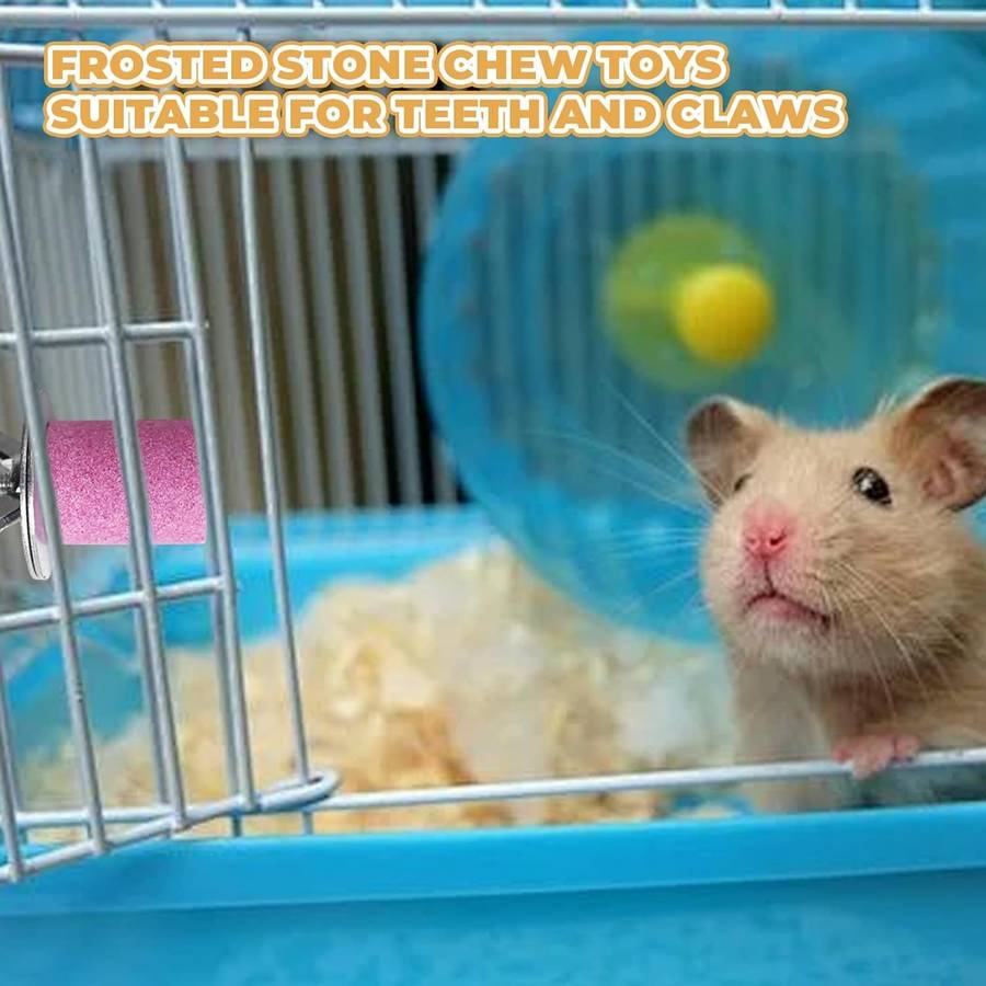Pet Supplies Quantity 3Pcs