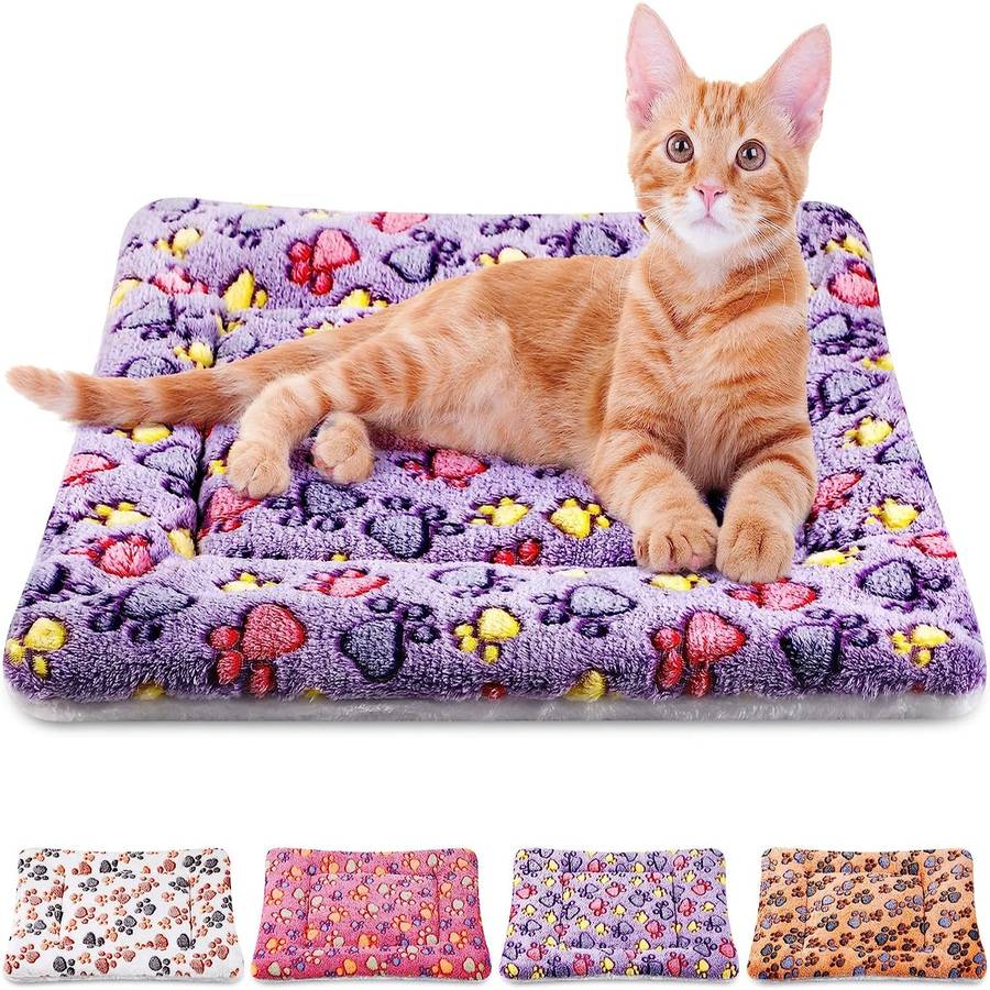 Pet supplies color Vivid Color size M 33.02 x 46.99 cm