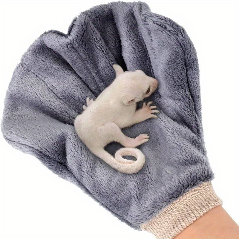 Pet Supplies Color Gray
