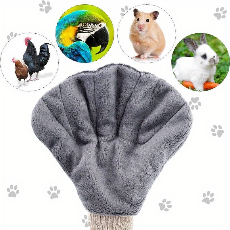 Pet Supplies Color Gray
