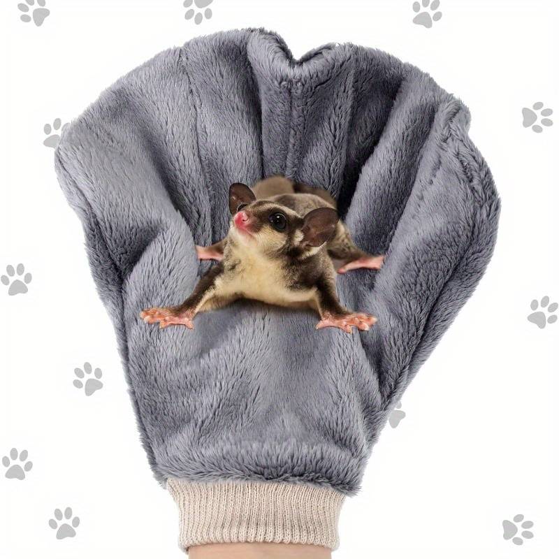Pet Supplies Color Gray