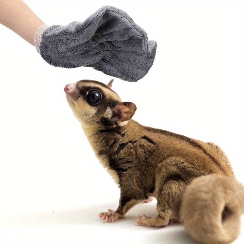 Pet Supplies Color Gray
