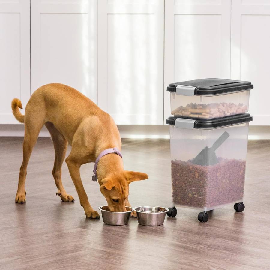 Pet Supplies Color Black