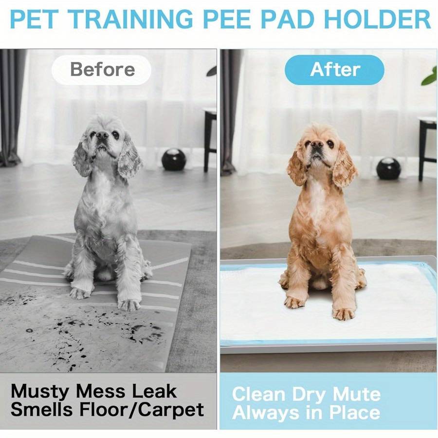 Pet supplies color Gray
