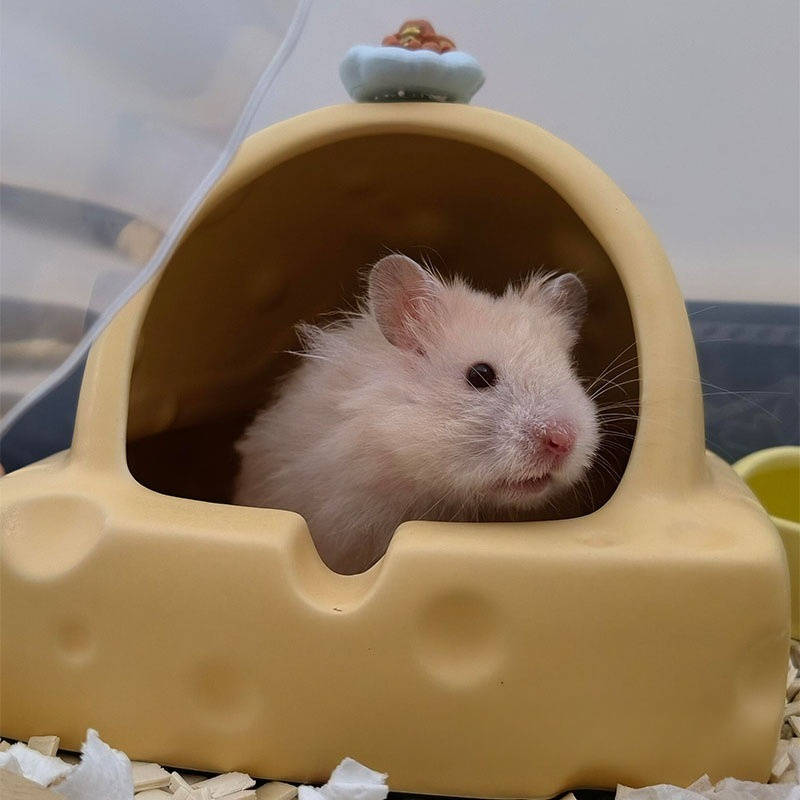 Pet Supplies Color Round Corner Anti Collision Ice Feel Easy To Clean Cheese Mouse House