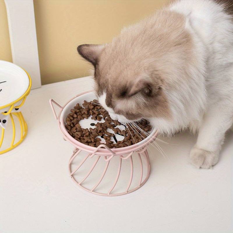 Pet Supplies Quantity 2 Pieces  1 Ceramic Bowl  Add   1 Stand