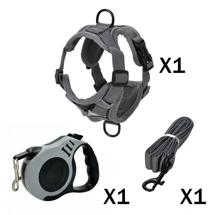 Dog Leash Color Gray 3 Piece Set Size M