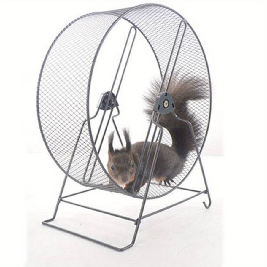 Pet Supplies Color Black