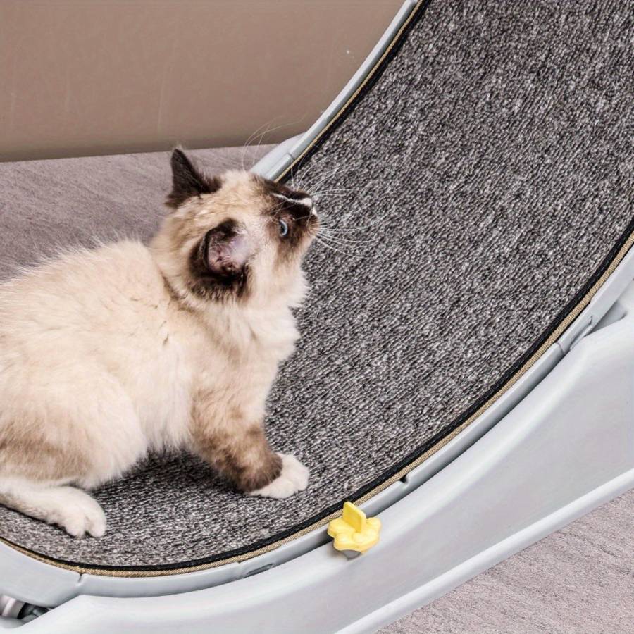 Pet supplies color Blue