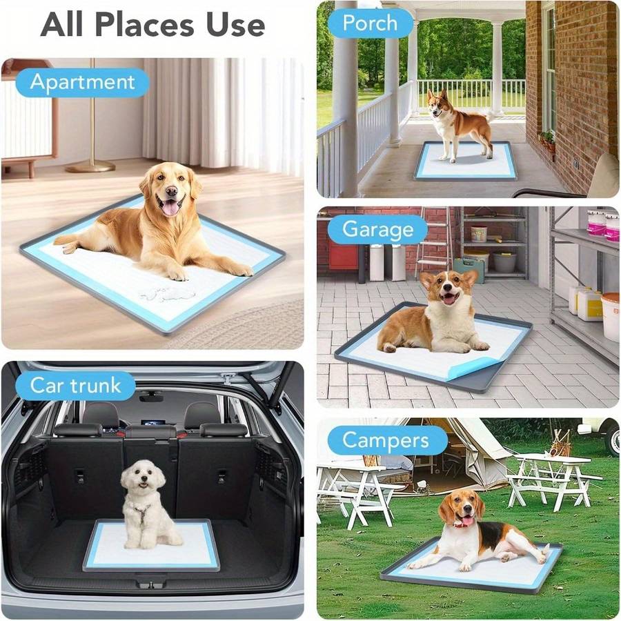 Pet supplies color grey