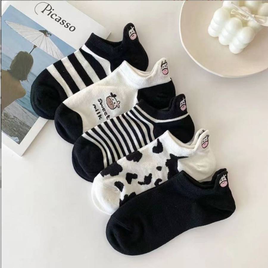 Women S Socks Color Assorted Varieties Quantity 5 Pairs