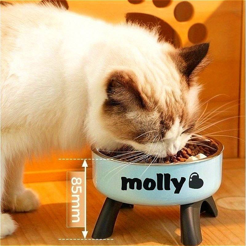 Pet Supplies Model C2 Style Blue