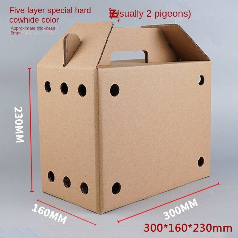 Pet Supplies Quantity 6Pcs