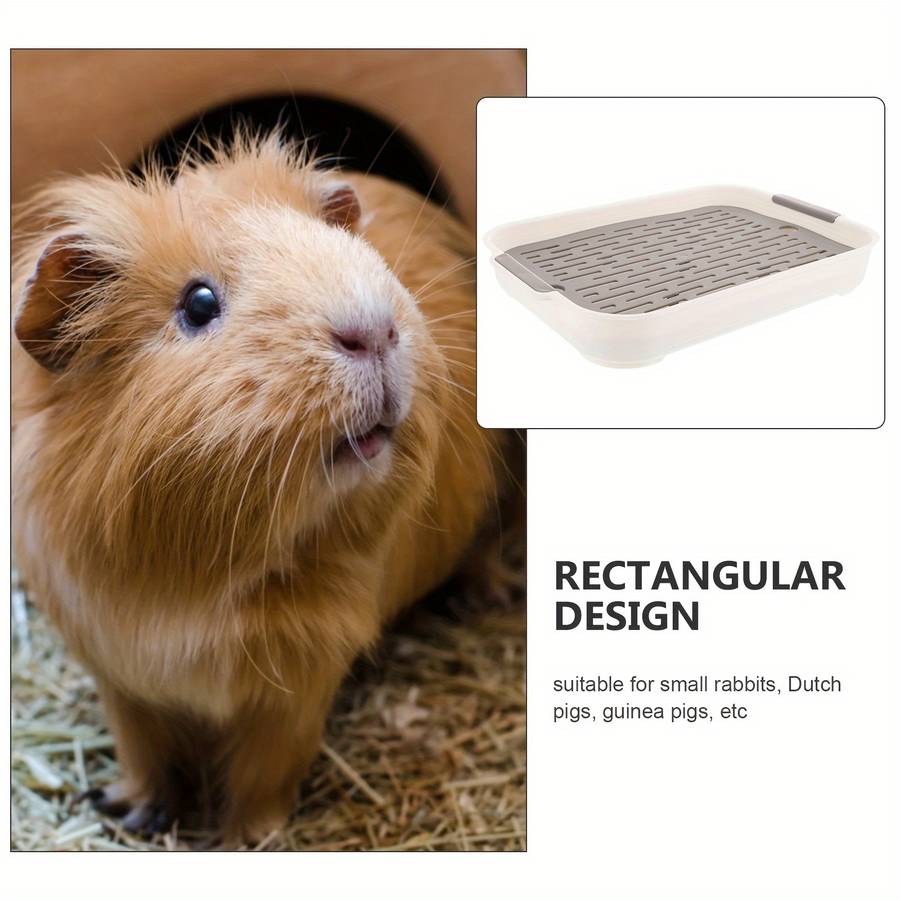 Pet supplies color Blue