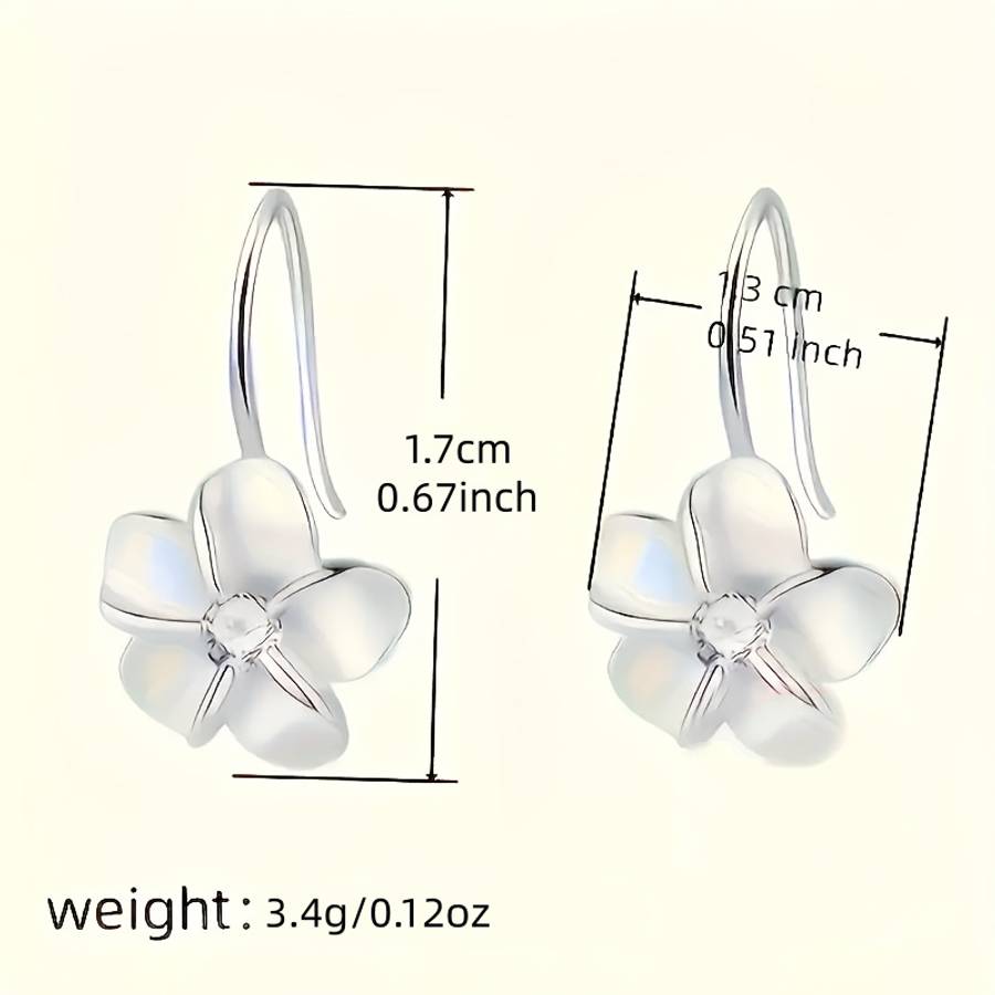 Women S Earrings Color Silvery
