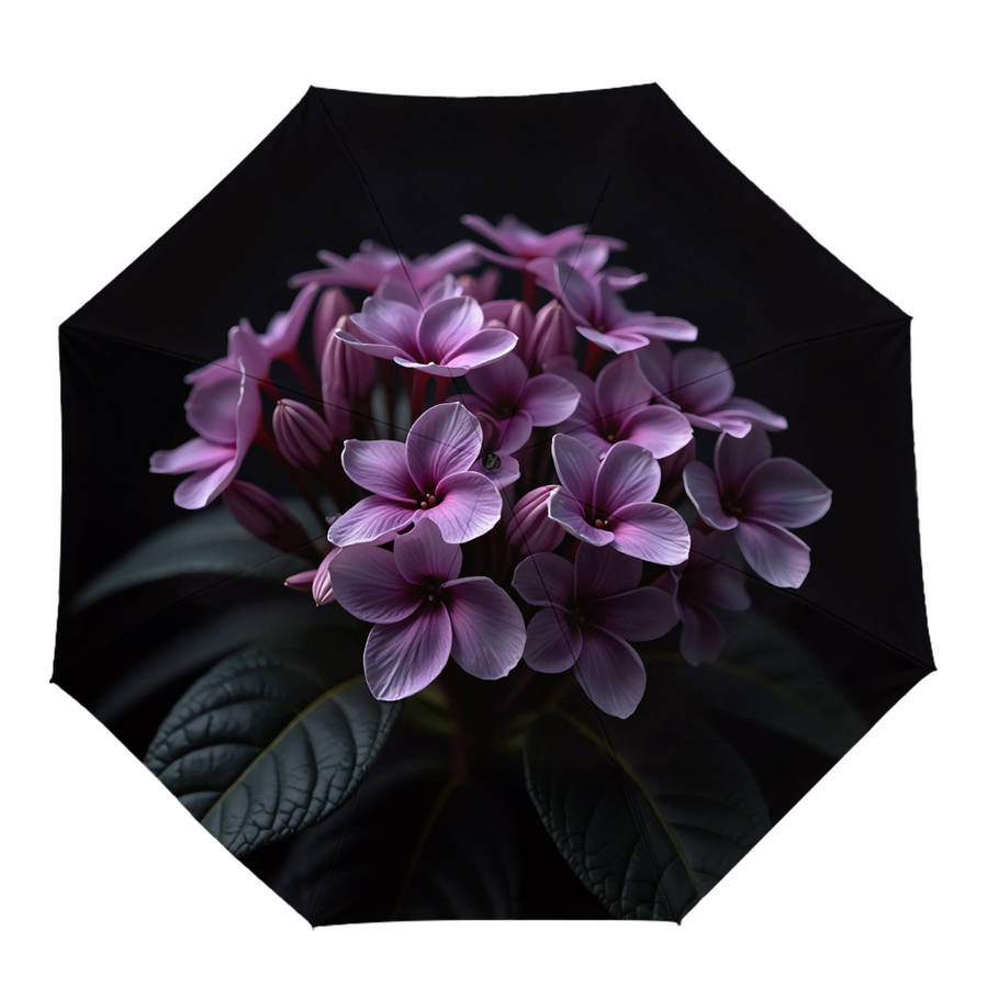 Umbrella Color Polychrome