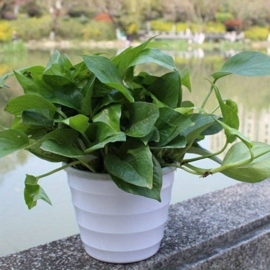 Flowerpot Color 6 Pieces Of White Corrugated Flower Pots