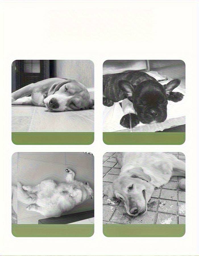 Pet supplies color Green size M