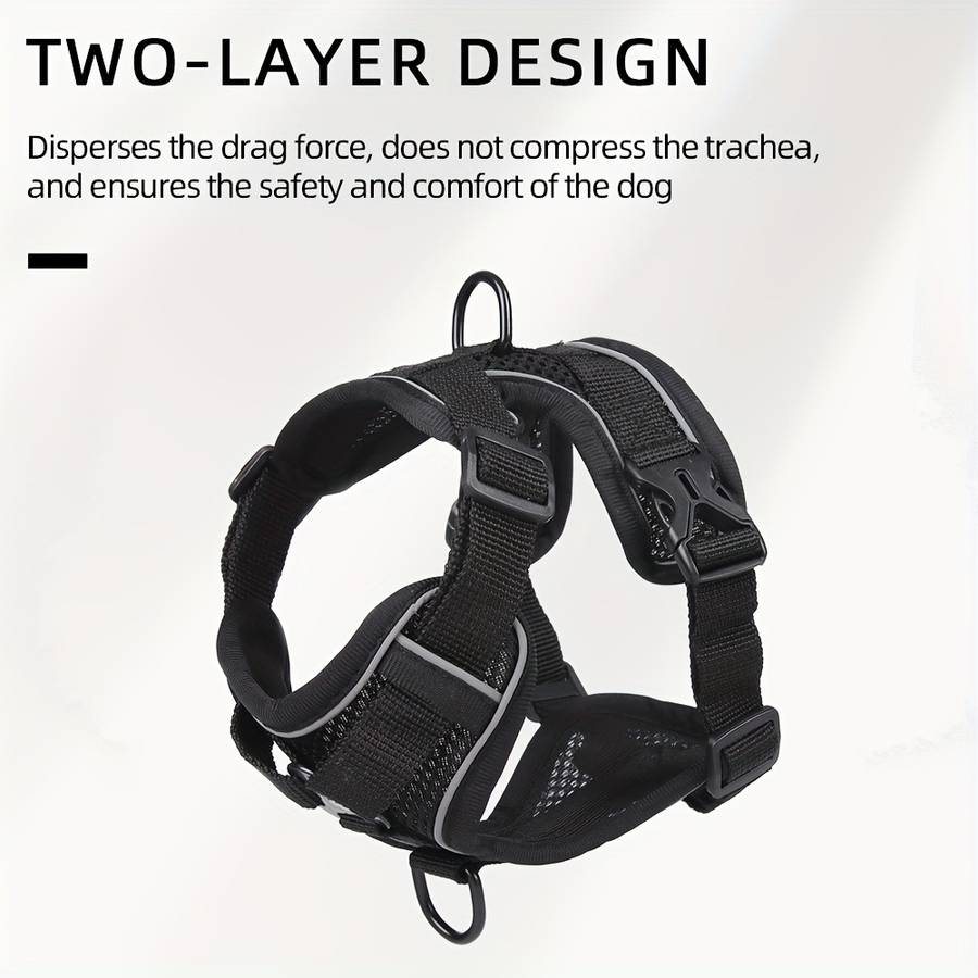 Dog Leash Color Pink 3Piece Set Size Xl