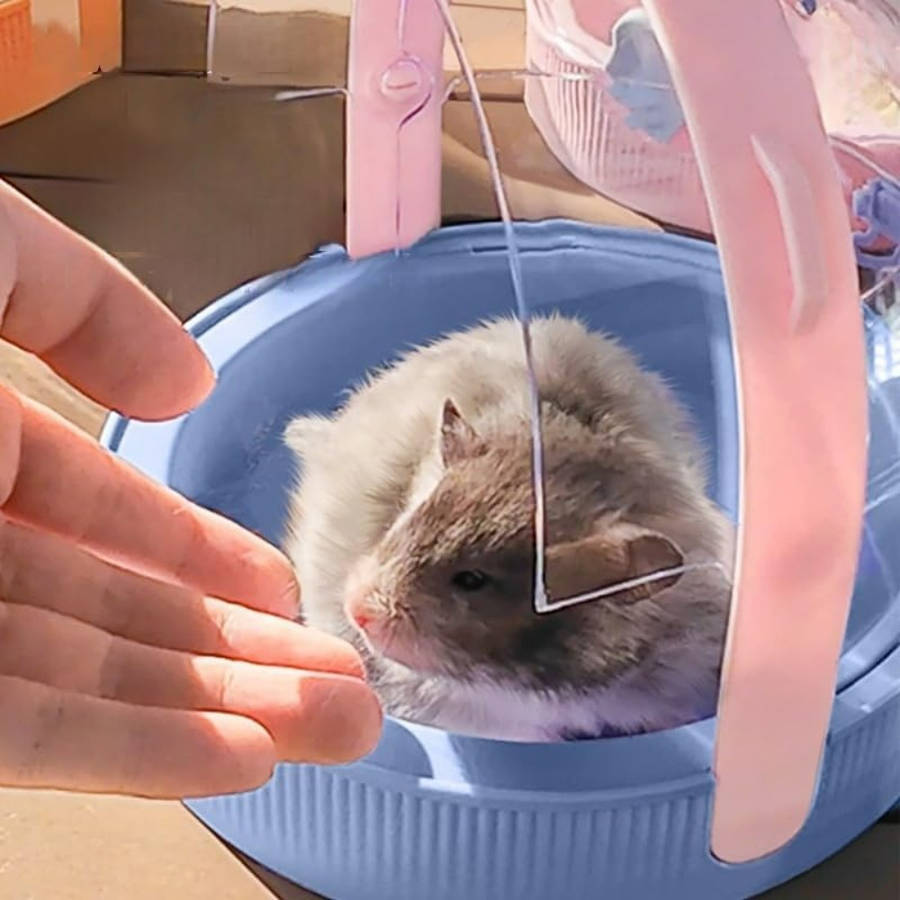 Pet Supplies Color Pink