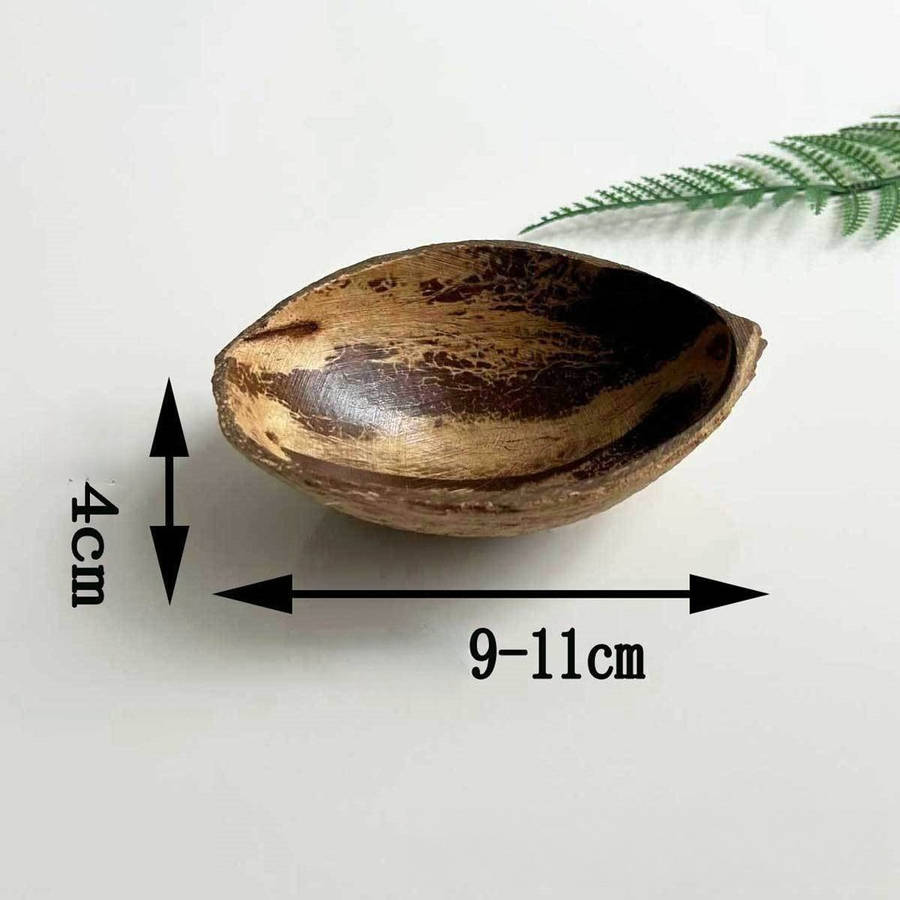 Bowl Color Halfnatural Type 2Pack