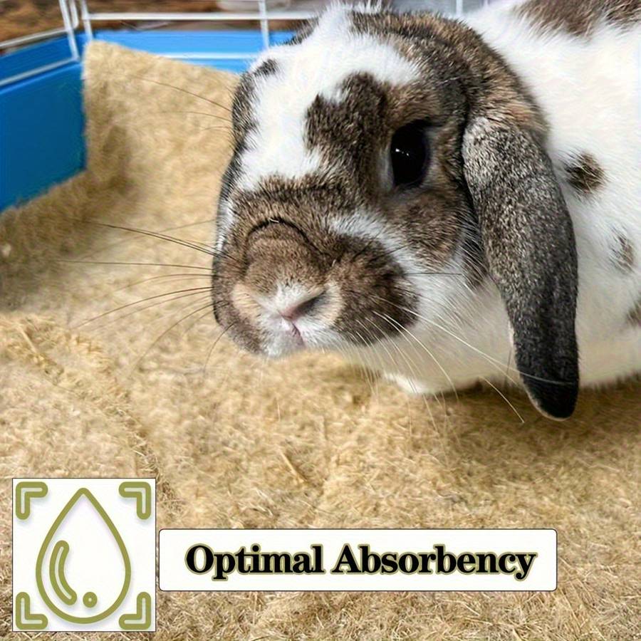 Pet Supplies Quantity 8Pcs