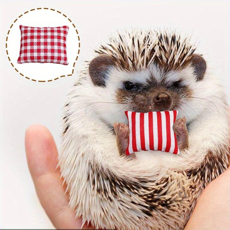 Pet supplies Model Package A