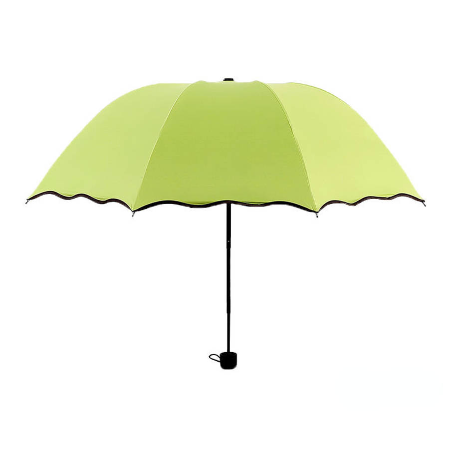 Umbrella Color Blue