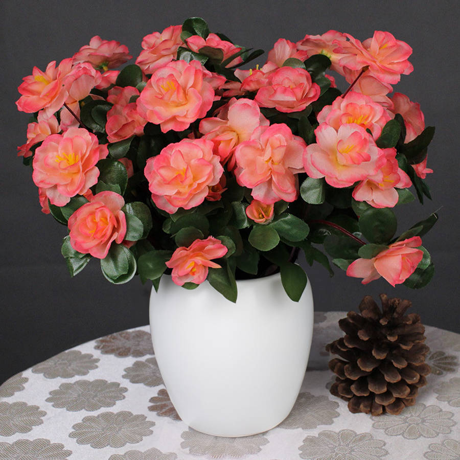 Simulated Flower Model Ecwhite