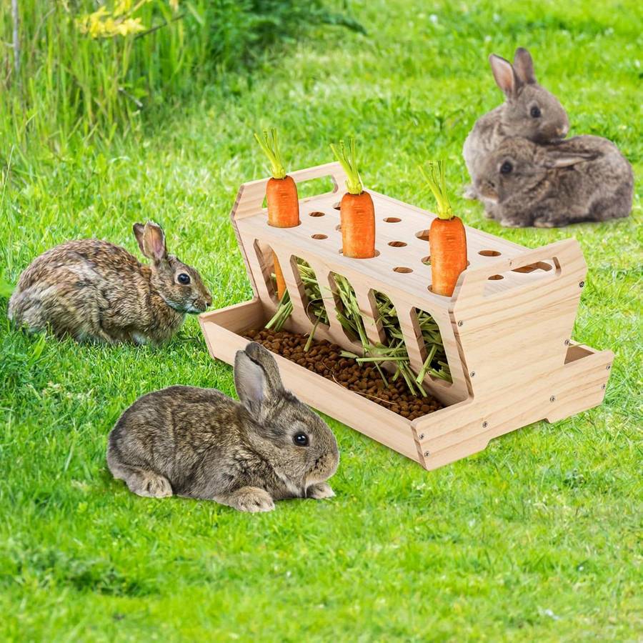 Pet Supplies Color Wood Color Quantity 1 Set
