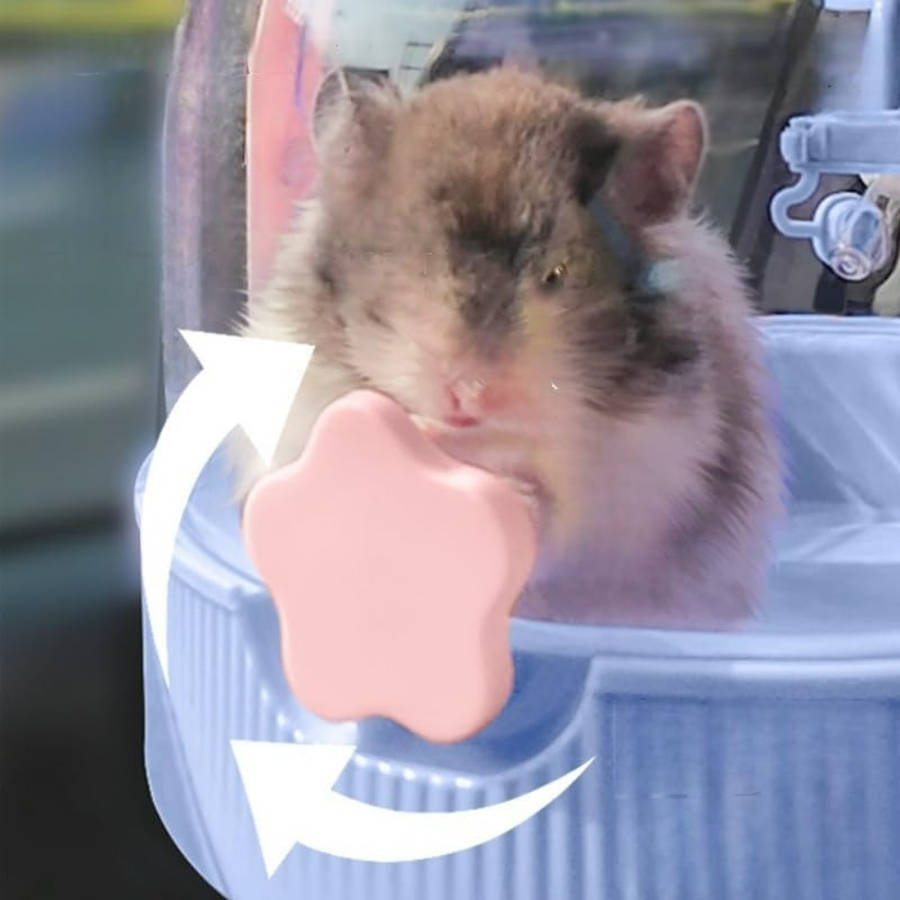 Pet Supplies Color Pink