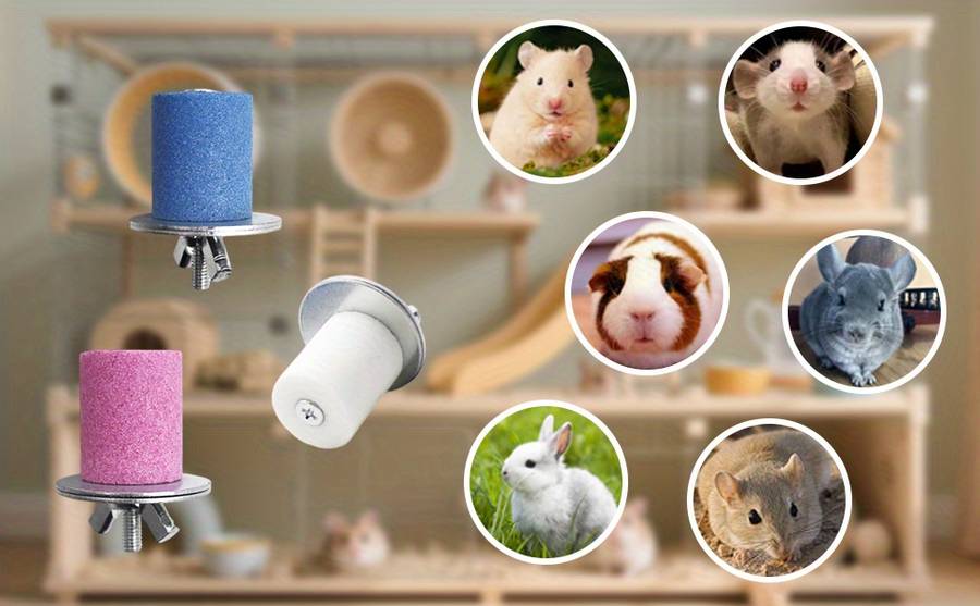 Pet Supplies Quantity 3Pcs