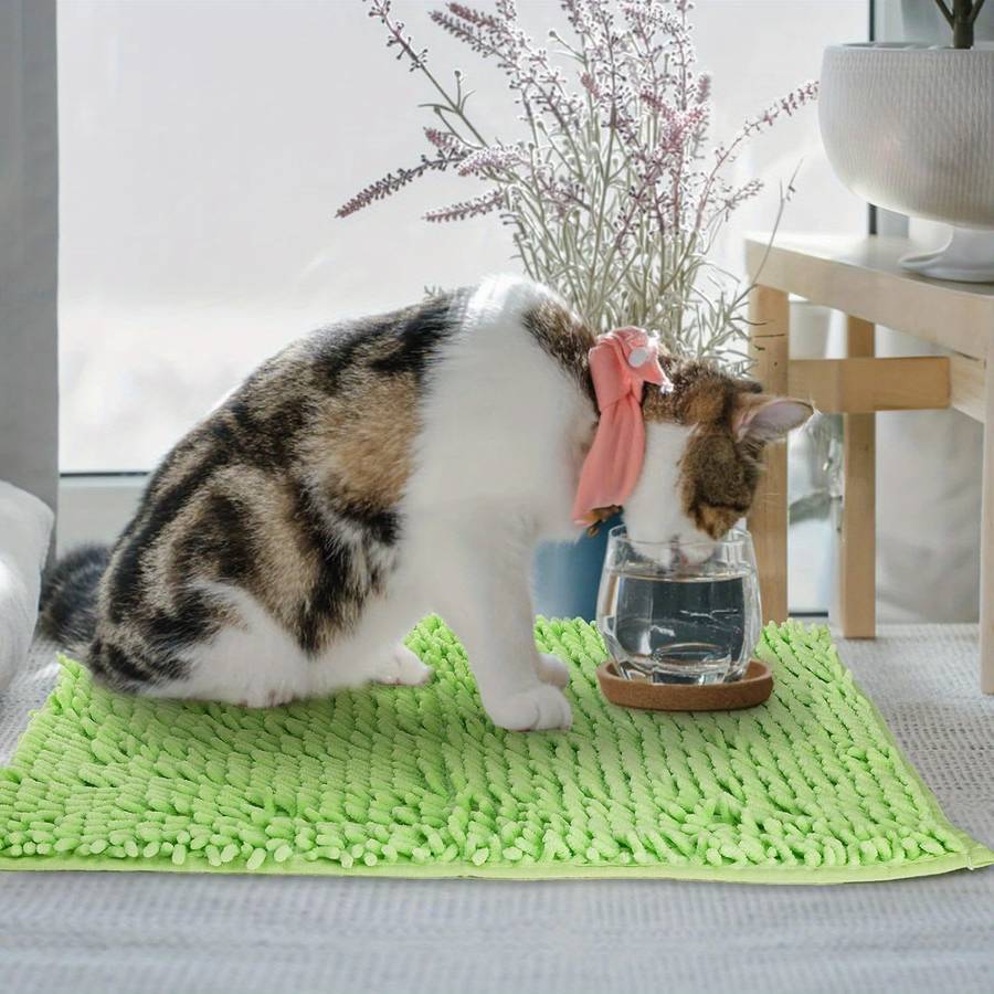 Pet Supplies Model 6 Piece Set