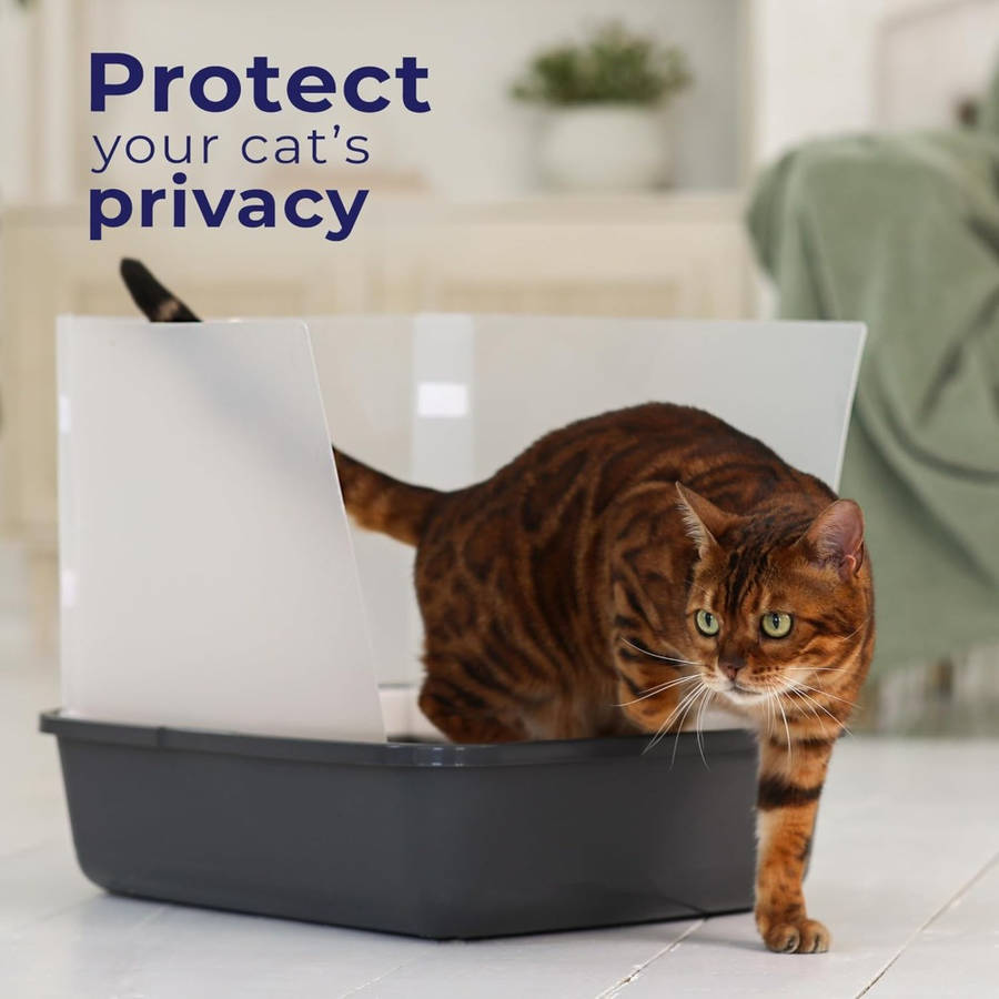 Pet supplies color Variant