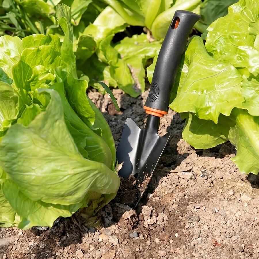Garden Supplies Color Transplanter