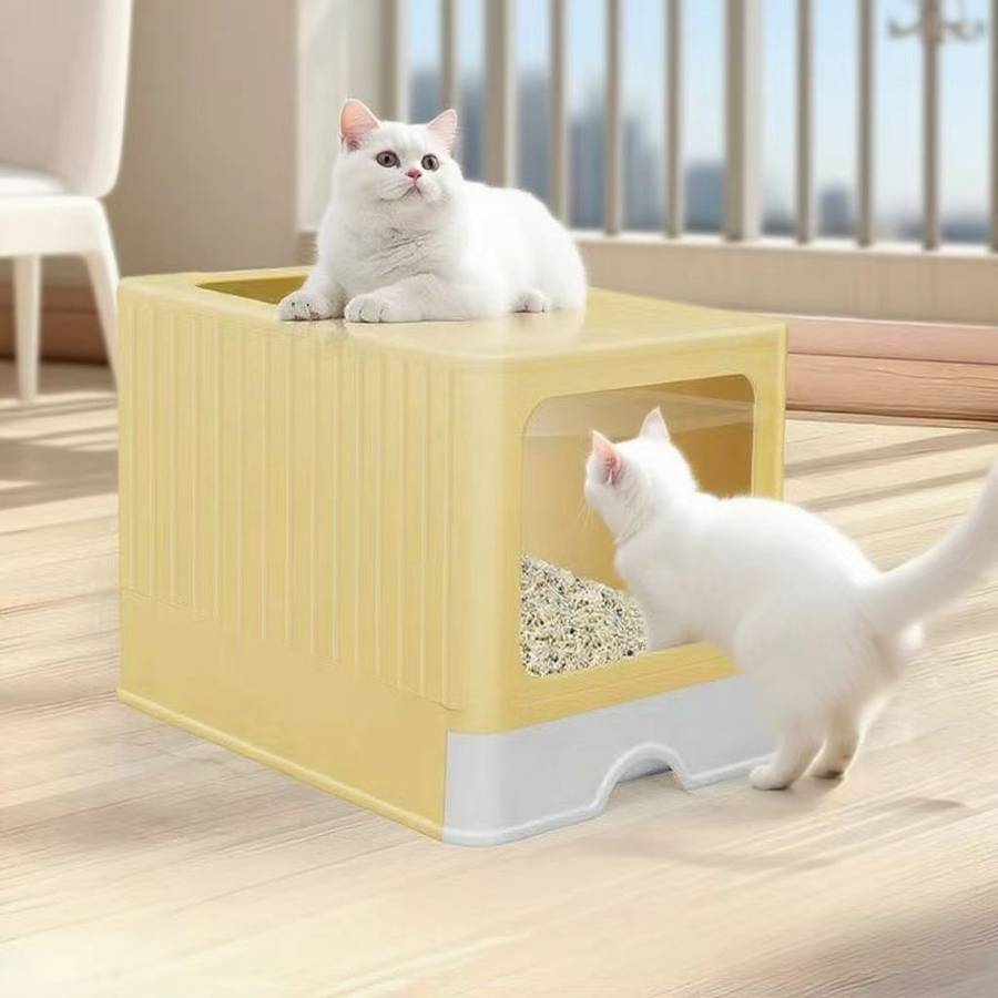 Pet supplies color Pink