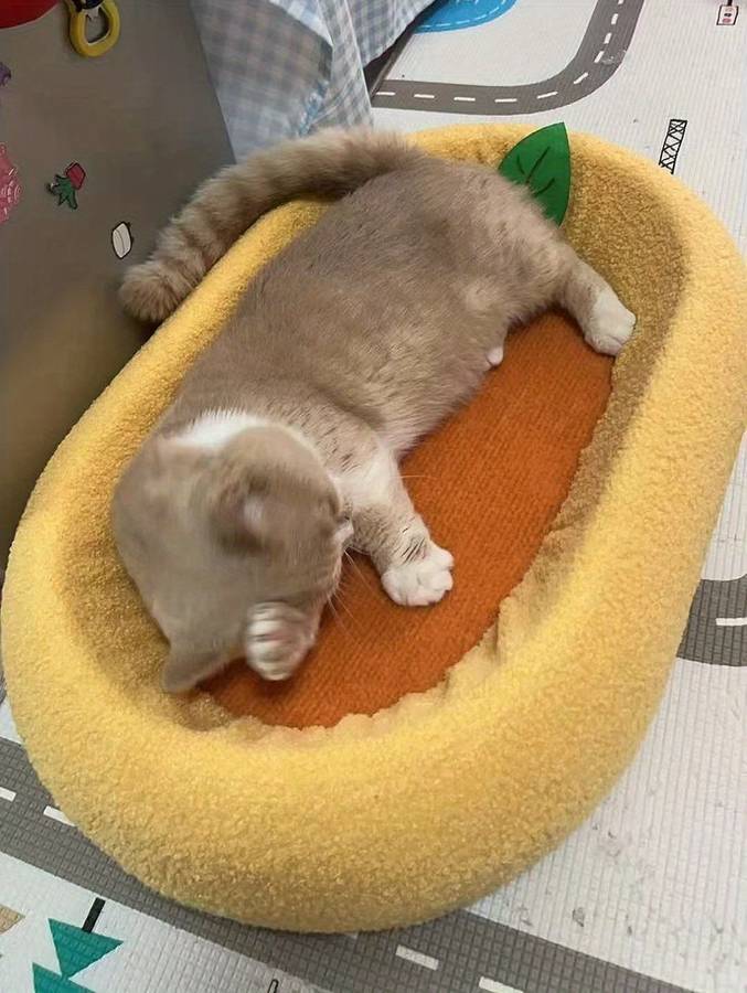Pet Supplies Color Orange