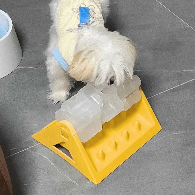 Pet Supplies Color Yellow