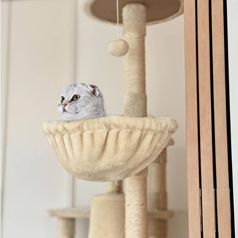 Pet supplies color Cream    A