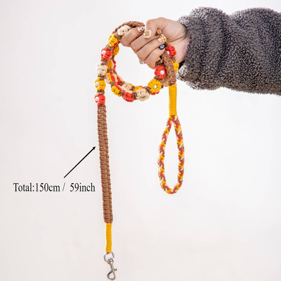 Dog Leash Color Number 7